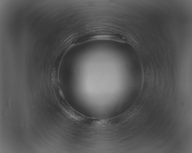 X0000053000092200507081244