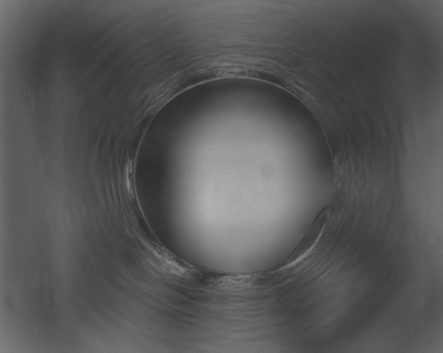 X0000053000094200507081245