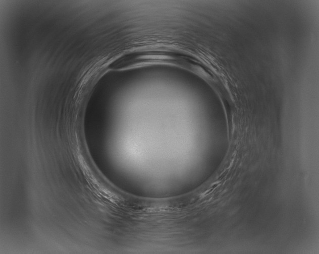 X0000053000097200507081244