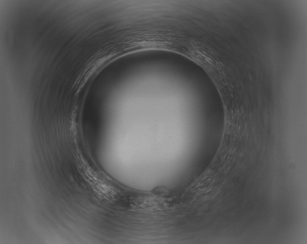 X0000053000098200507081244
