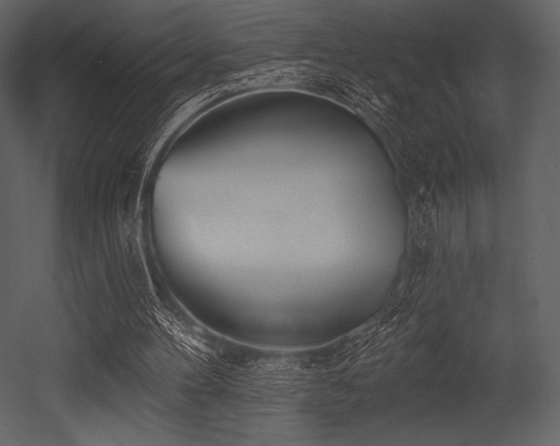X0000053000100200507081244