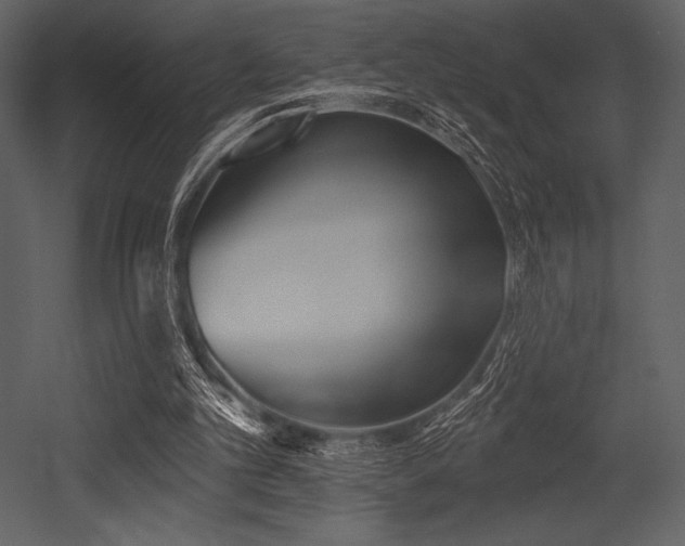 X0000053000101200507081244