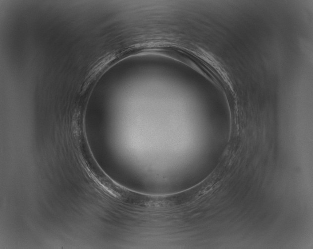 X0000053000105200507081244