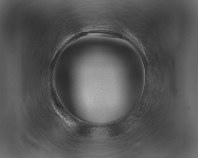 X0000053000107200507081244