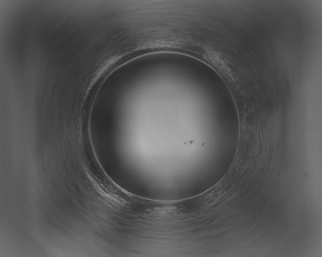 X0000053000108200507081244