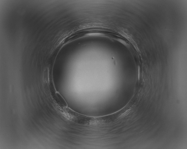 X0000053000109200507081244