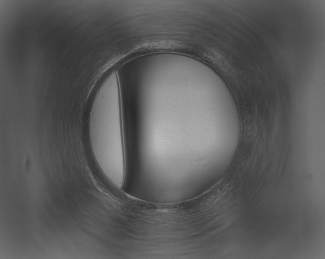 X0000053000111200507081244