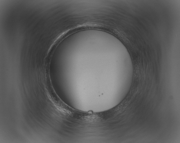 X0000053000112200507081243