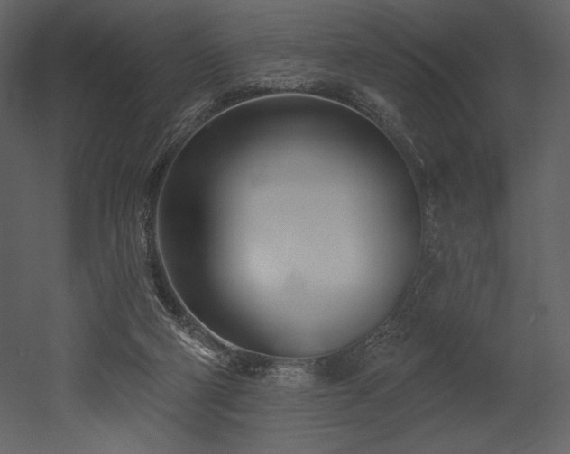 X0000053000114200507081243