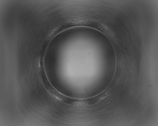 X0000053000115200507081243