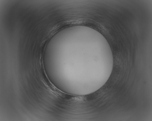 X0000053000118200507081243