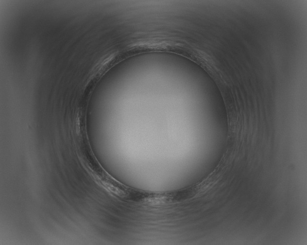 X0000053000120200507081243