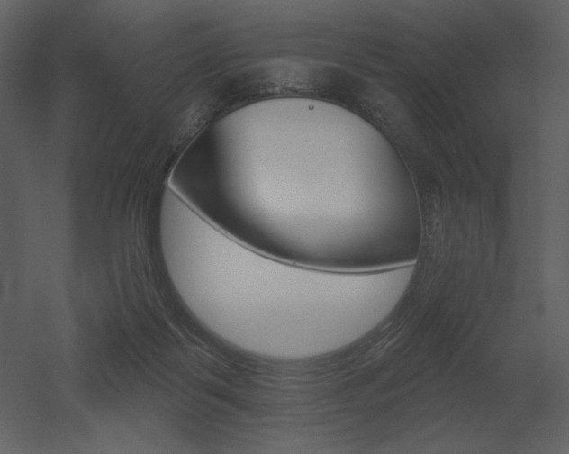 X0000053000123200507081243