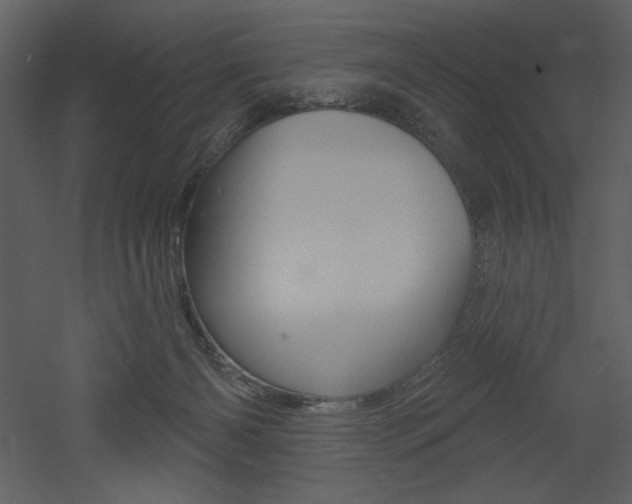 X0000053000126200507081243