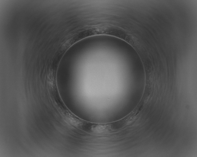 X0000053000129200507081243