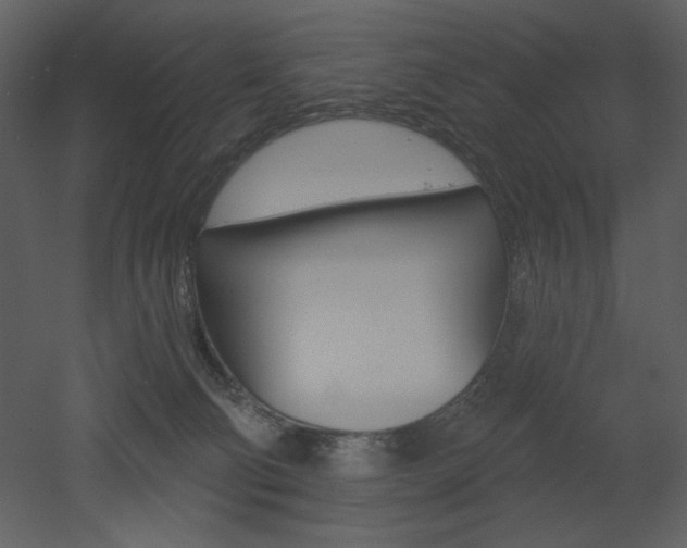 X0000053000130200507081243
