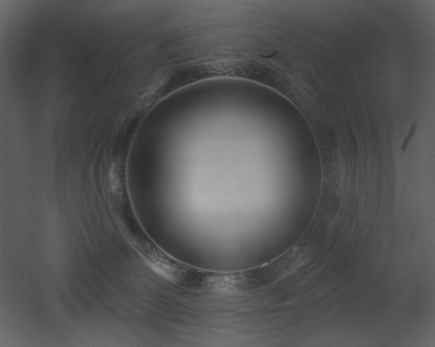 X0000053000131200507081243