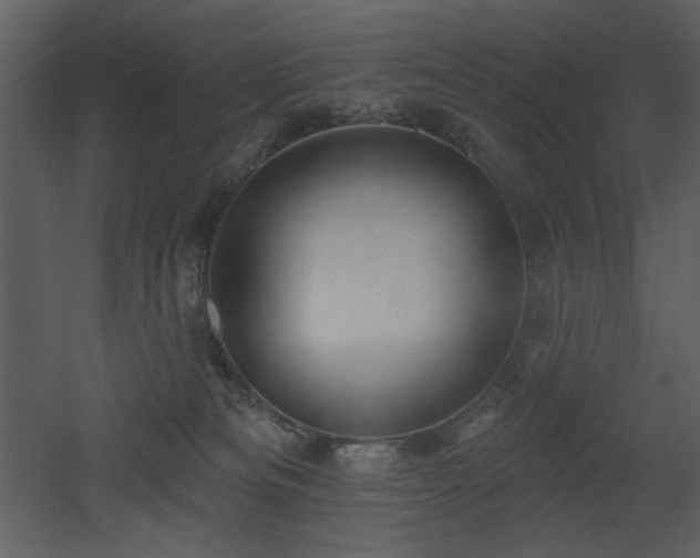 X0000053000133200507081243