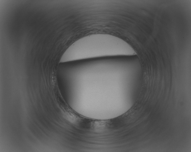 X0000053000134200507081243
