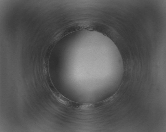 X0000053000136200507081243