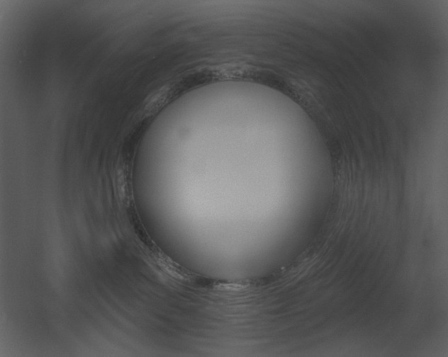 X0000053000139200507081243