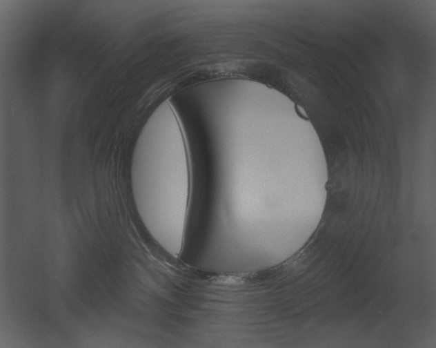 X0000053000140200507081243