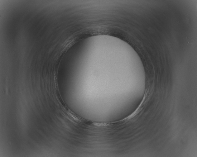 X0000053000144200507081243