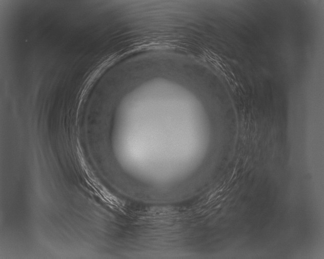 X0000053000145200507081242