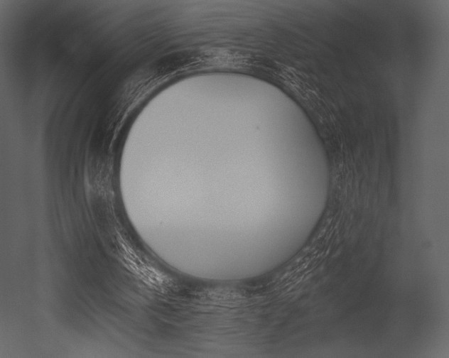 X0000053000146200507081242