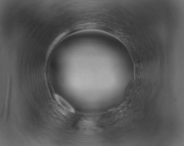 X0000053000147200507081242