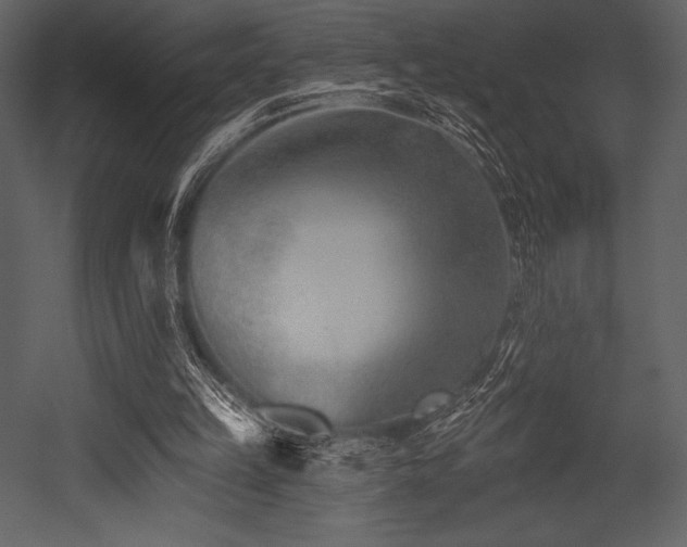 X0000053000149200507081242