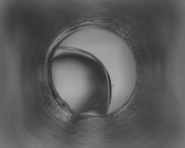 X0000053000150200507081242