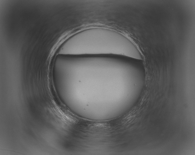 X0000053000151200507081242