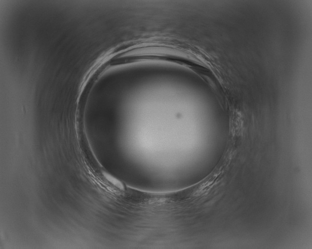 X0000053000152200507081242