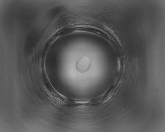 X0000053000154200507081242