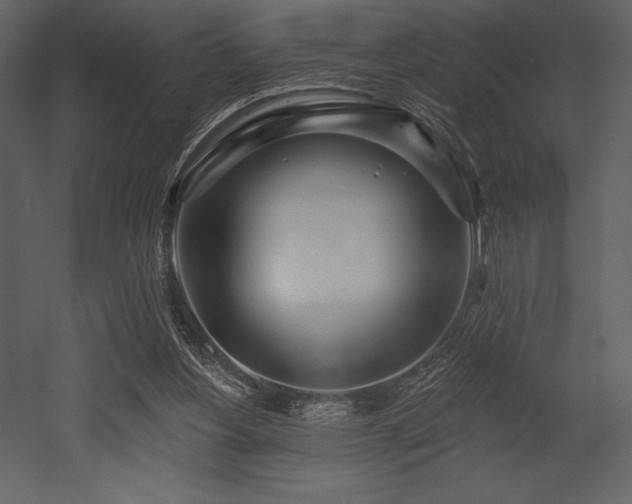 X0000053000156200507081242