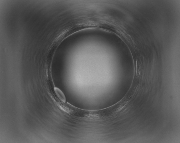 X0000053000157200507081242