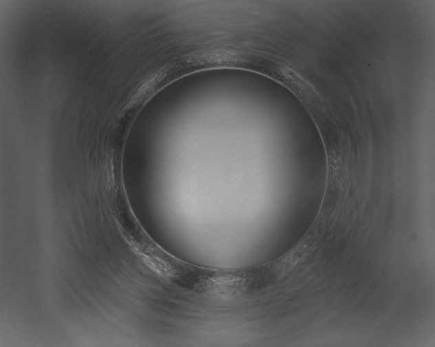 X0000053000158200507081242