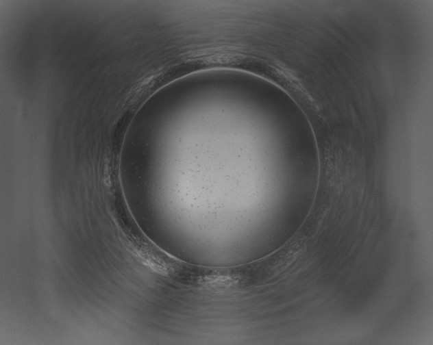 X0000053000161200507081242