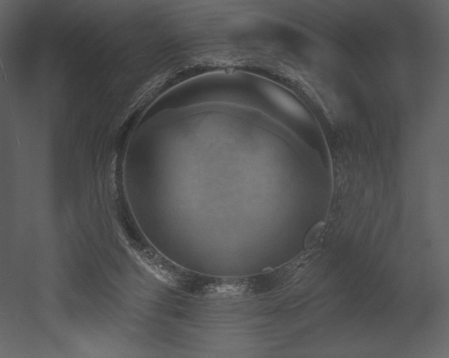 X0000053000163200507081242