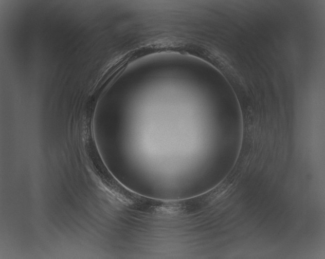 X0000053000164200507081242