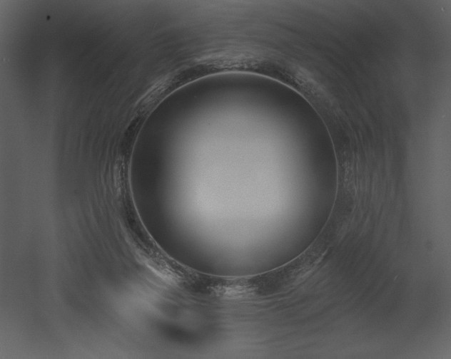 X0000053000165200507081242
