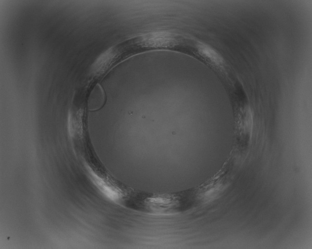 X0000053000167200507081242
