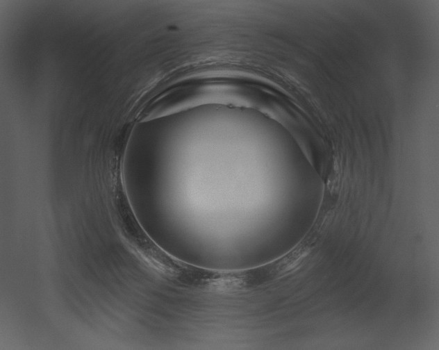 X0000053000168200507081243