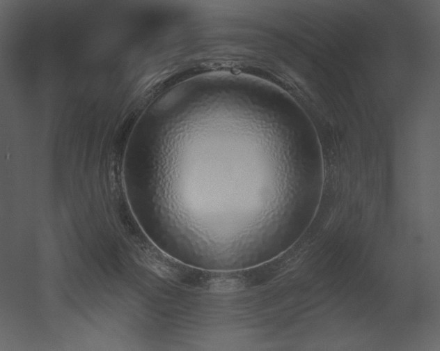 X0000053000169200507081243