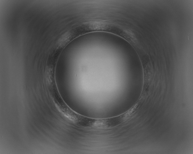 X0000053000171200507081243