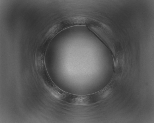 X0000053000172200507081243