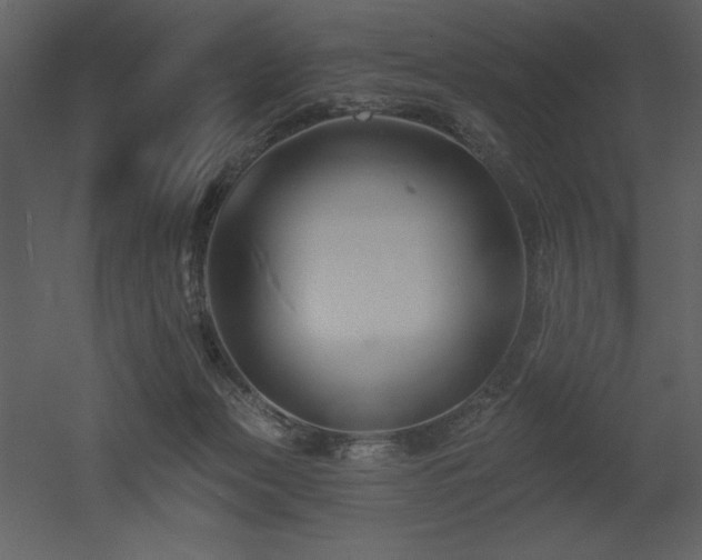X0000053000173200507081243