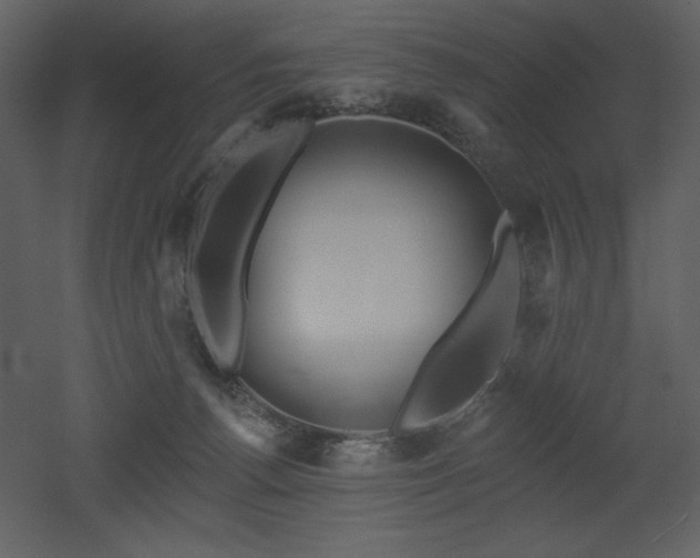 X0000053000176200507081243