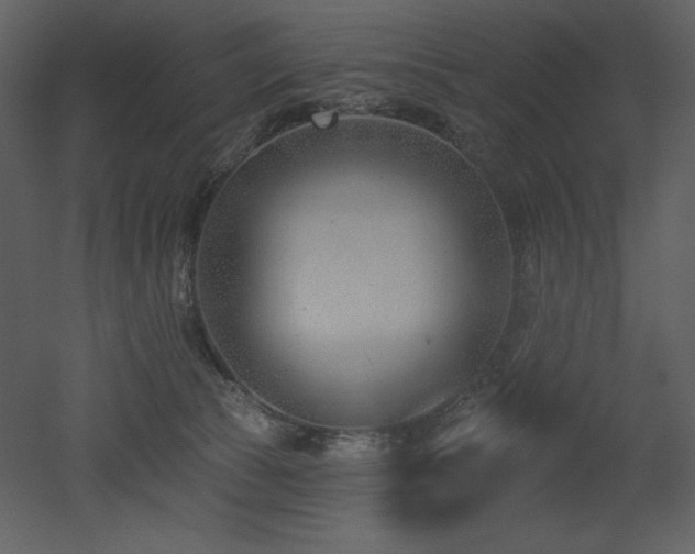 X0000053000177200507081243